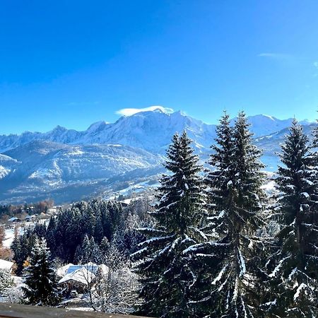 Apartament Large Apt 80M Superb View Mont-Blanc 6P Combloux Zewnętrze zdjęcie
